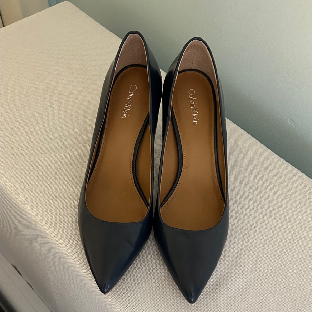 Calvin Klein Women’s Navy Pointed-Toe Leather Heels